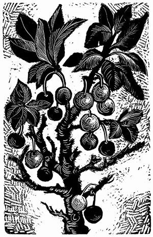 AH_wildbeachplums_x300